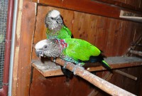 /album/fotogaleria/a21-12-2010-stiahnute-z-karty-katarine-darovana-635-jpg/